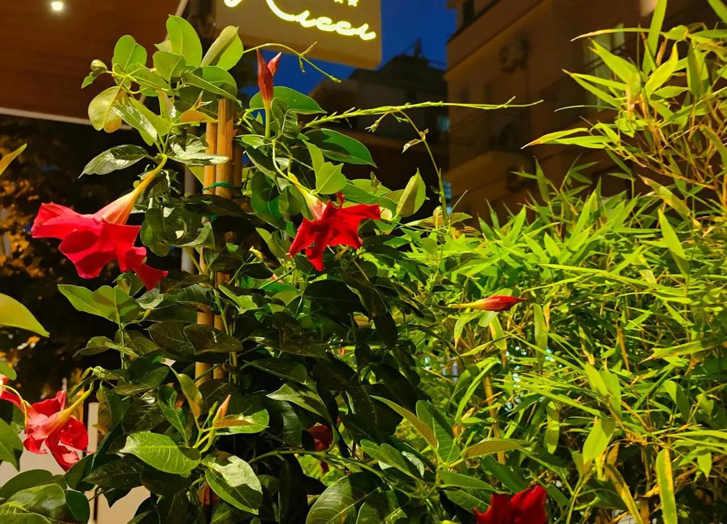 Hotel Ricci Rimini Italy